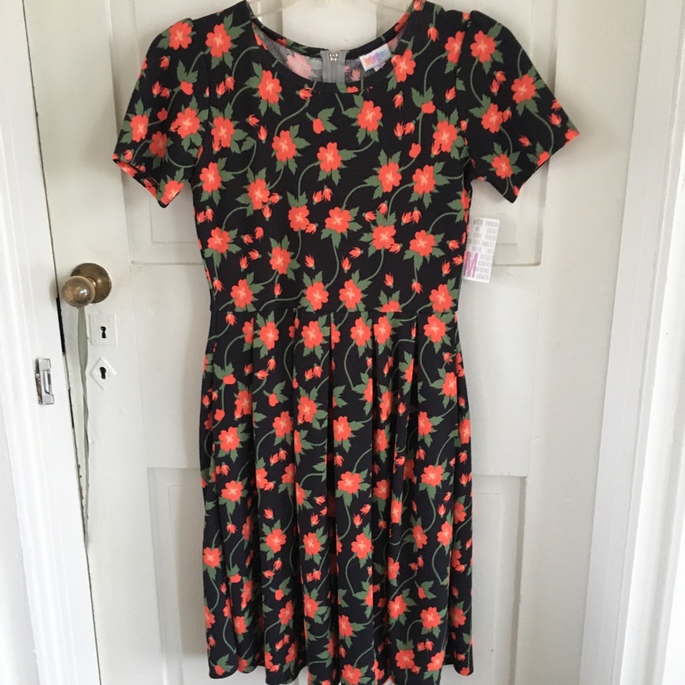 NWT LuLaRoe Amelia Dress